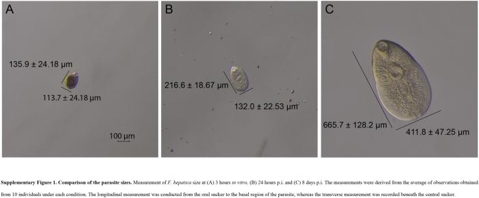 https://cdn.ncbi.nlm.nih.gov/pmc/blobs/cace/12390924/b7b90690994d/figs1.jpg