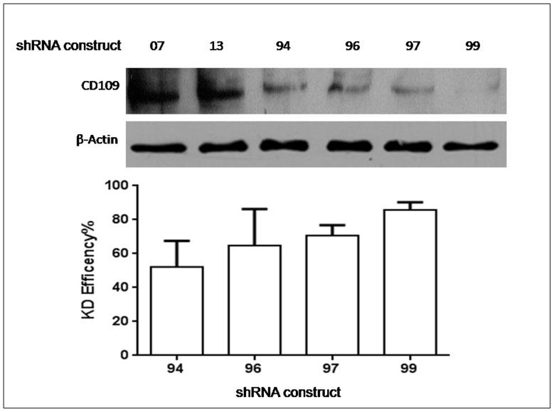 https://cdn.ncbi.nlm.nih.gov/pmc/blobs/cacf/3625217/8bcd04991378/pone.0061213.g005.jpg