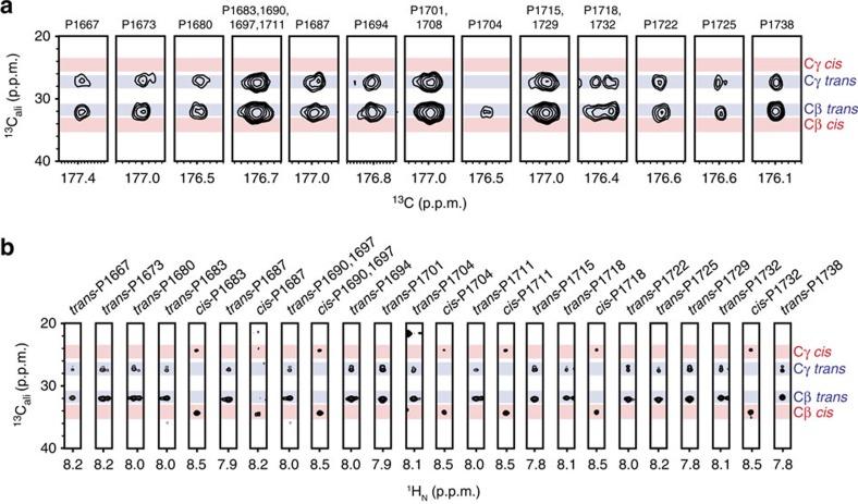 https://cdn.ncbi.nlm.nih.gov/pmc/blobs/cacf/5437310/33fd0814abc7/ncomms15233-f5.jpg