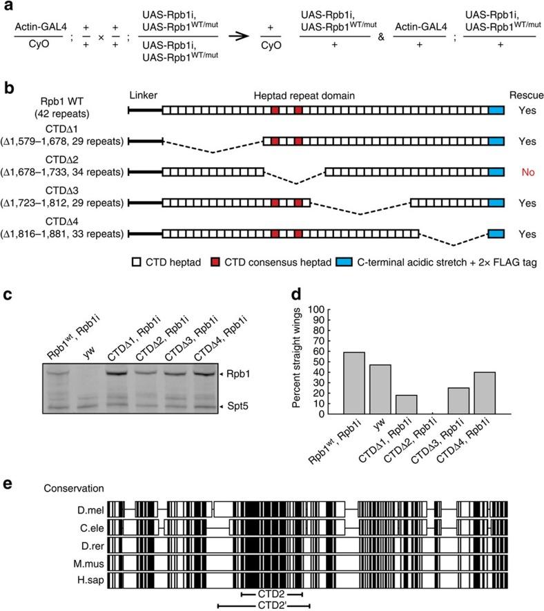 https://cdn.ncbi.nlm.nih.gov/pmc/blobs/cacf/5437310/399eec6f7bdb/ncomms15233-f1.jpg
