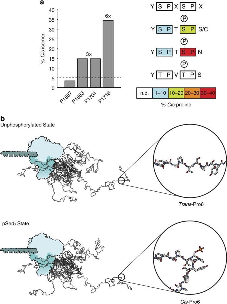 https://cdn.ncbi.nlm.nih.gov/pmc/blobs/cacf/5437310/5322e88d2bac/ncomms15233-f6.jpg