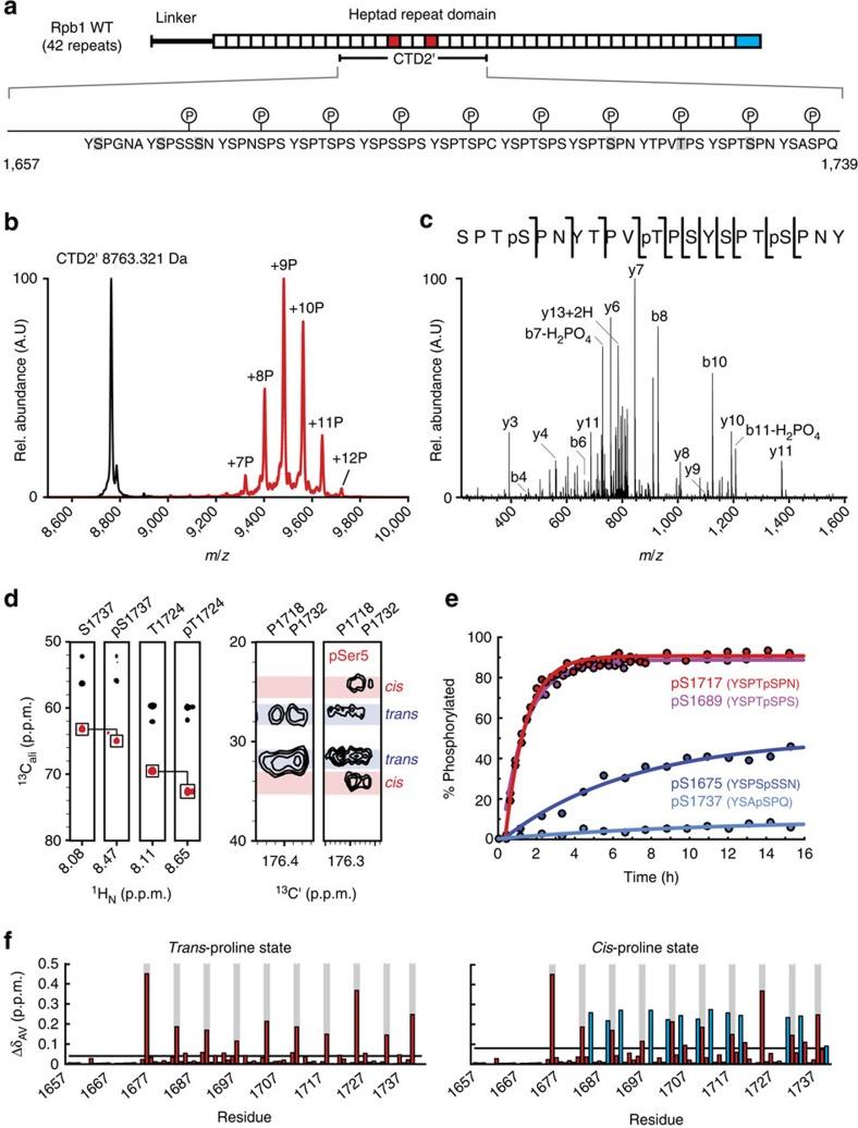 https://cdn.ncbi.nlm.nih.gov/pmc/blobs/cacf/5437310/c99c76d53275/ncomms15233-f2.jpg