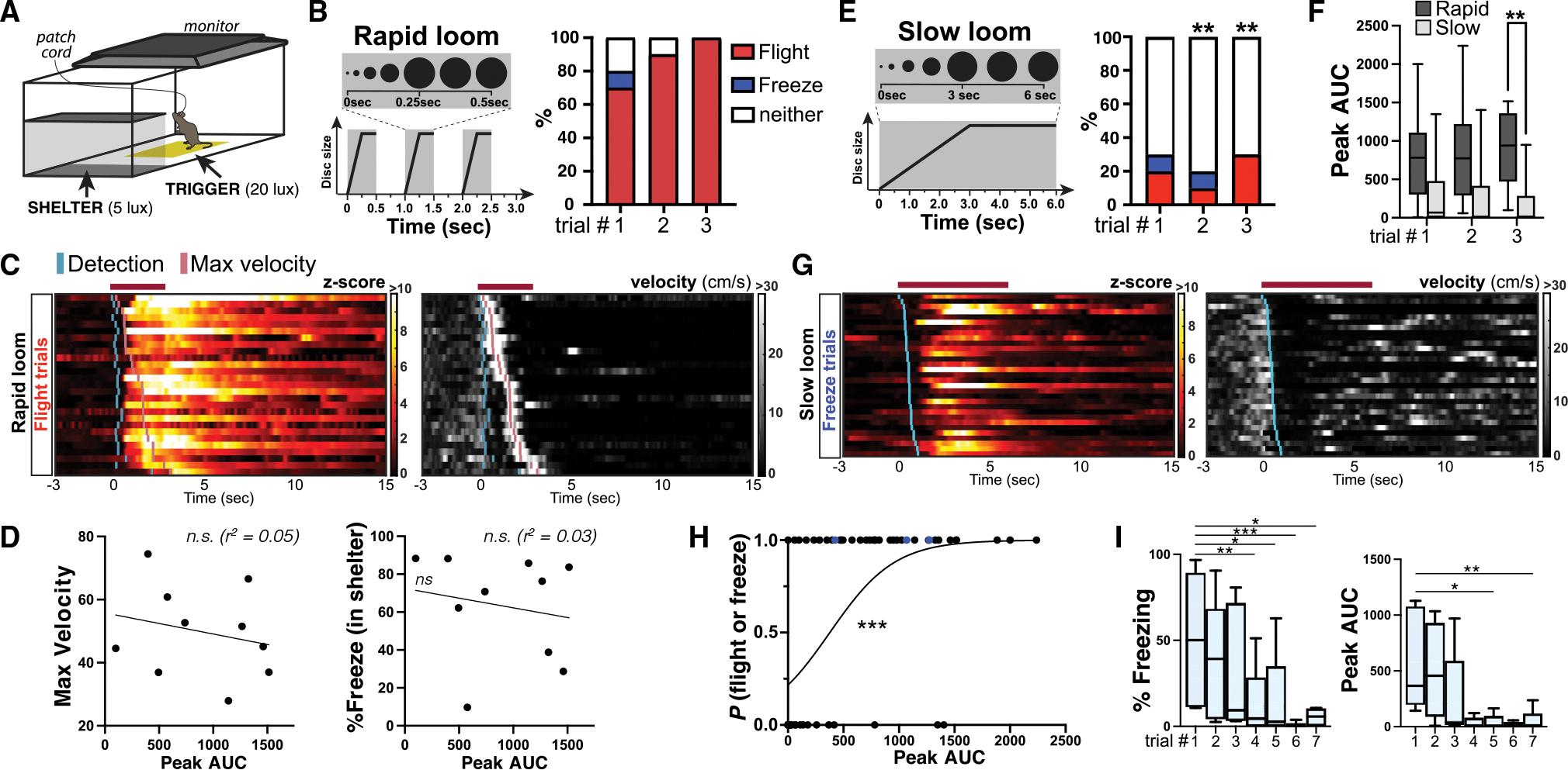 https://cdn.ncbi.nlm.nih.gov/pmc/blobs/cacf/9645245/407704e154d0/nihms-1845182-f0004.jpg