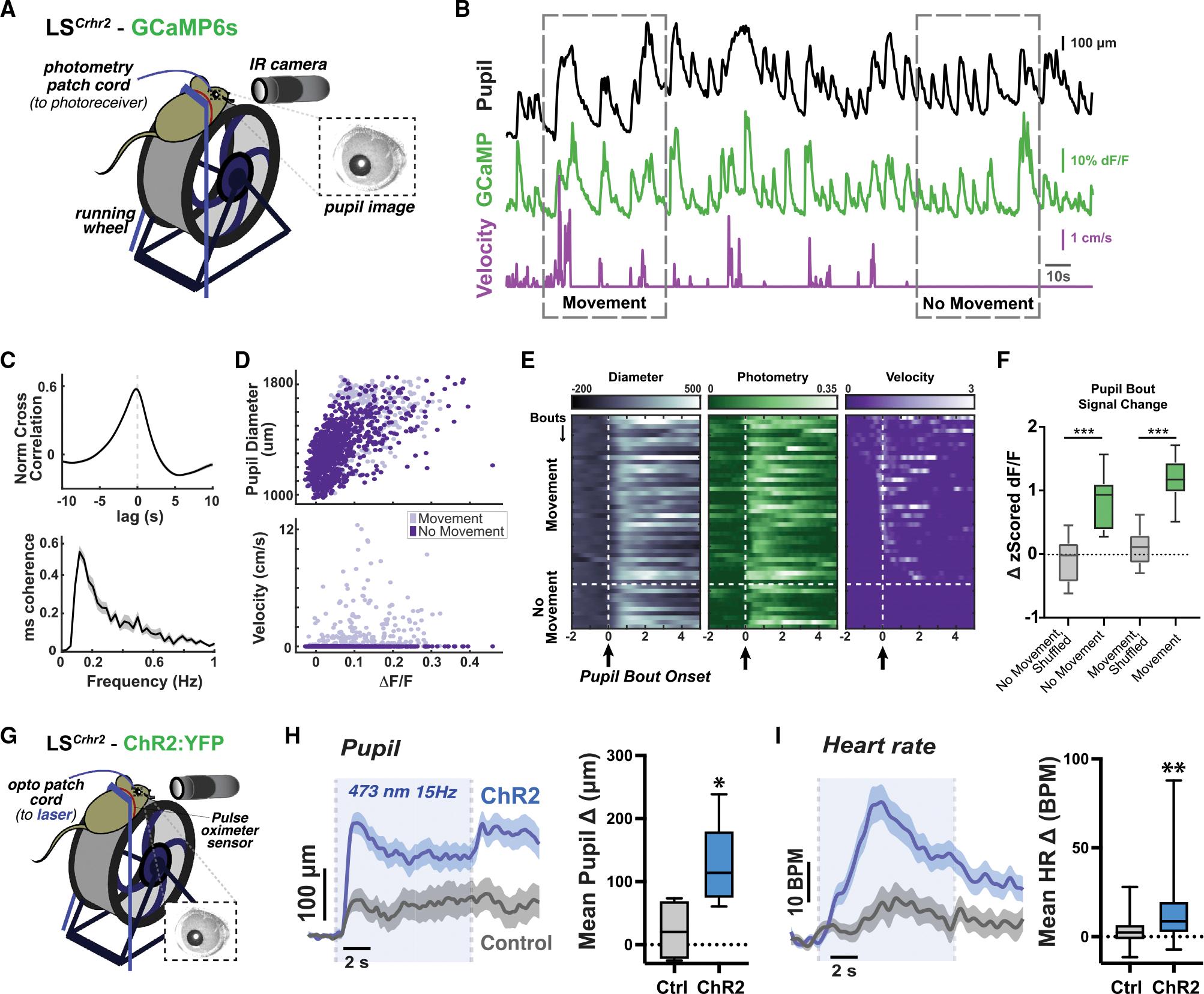 https://cdn.ncbi.nlm.nih.gov/pmc/blobs/cacf/9645245/f9e008712378/nihms-1845182-f0007.jpg