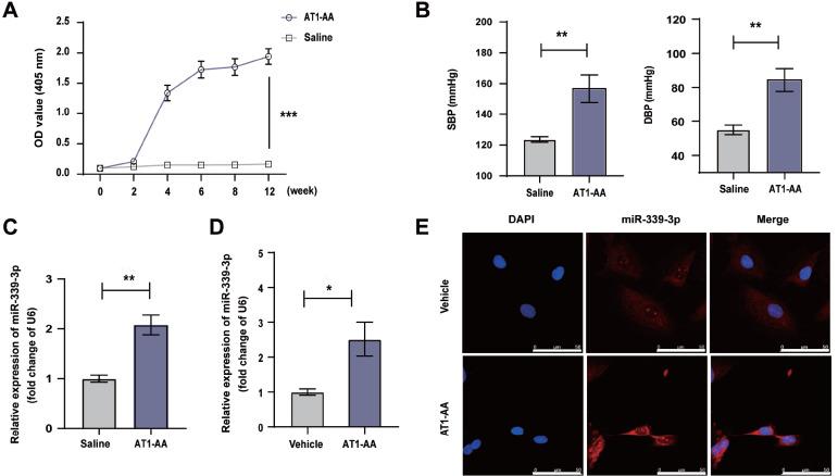 https://cdn.ncbi.nlm.nih.gov/pmc/blobs/cad0/10157516/a83c08d127ea/abbs-2022-279-t1.jpg