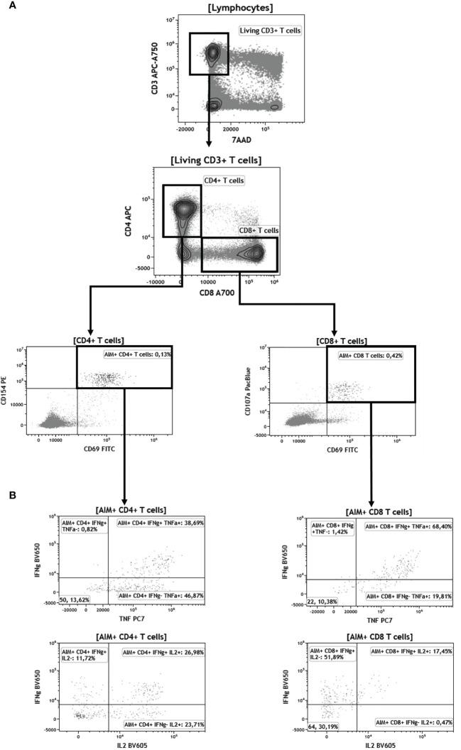 https://cdn.ncbi.nlm.nih.gov/pmc/blobs/cad0/8637126/a26e0718dee5/fimmu-12-778679-g004.jpg