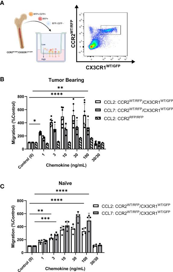 https://cdn.ncbi.nlm.nih.gov/pmc/blobs/cad0/9854274/140897bd92ce/fimmu-13-993444-g004.jpg
