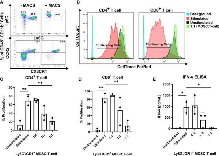 https://cdn.ncbi.nlm.nih.gov/pmc/blobs/cad0/9854274/1d0f2f8826cb/fimmu-13-993444-g002.jpg