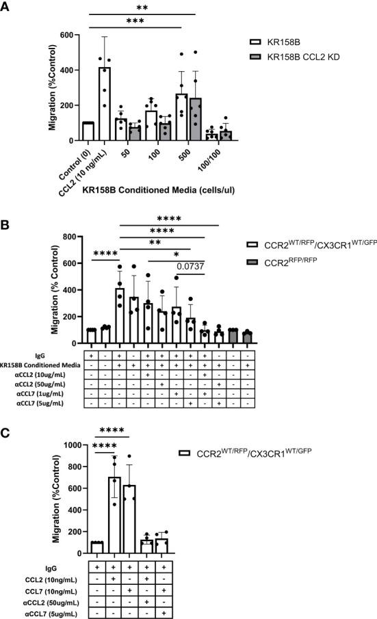 https://cdn.ncbi.nlm.nih.gov/pmc/blobs/cad0/9854274/9b516dc9166c/fimmu-13-993444-g005.jpg