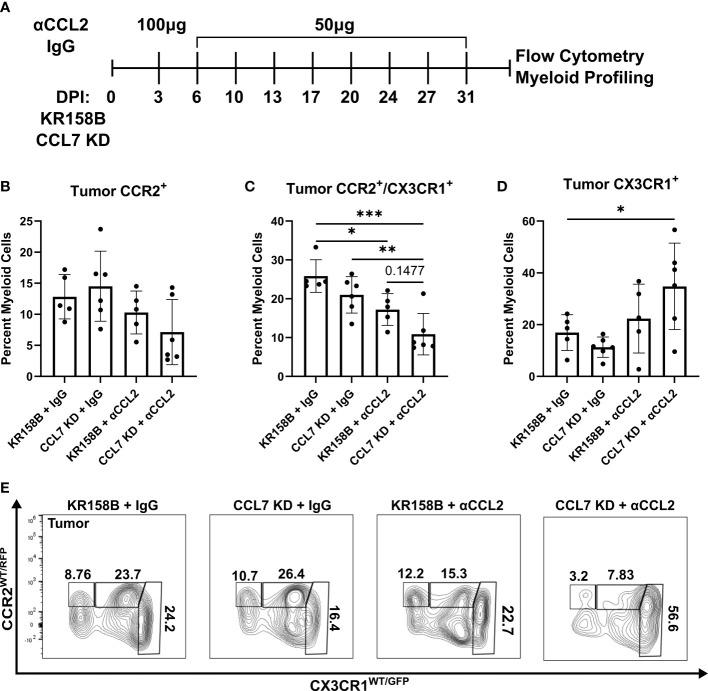 https://cdn.ncbi.nlm.nih.gov/pmc/blobs/cad0/9854274/abf39f9b17b0/fimmu-13-993444-g006.jpg