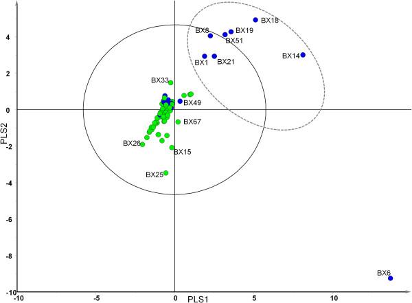 https://cdn.ncbi.nlm.nih.gov/pmc/blobs/cad1/4031157/5bd9024d9d14/1471-2180-14-130-2.jpg