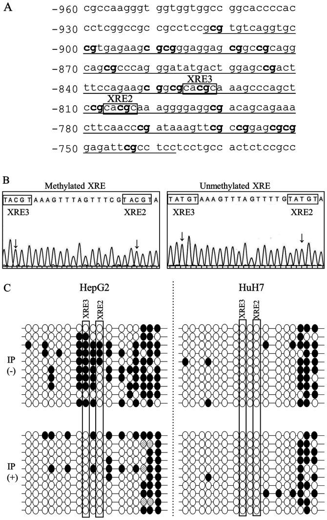 https://cdn.ncbi.nlm.nih.gov/pmc/blobs/cad1/8524661/27af3d6609c8/etm-22-06-10846-g03.jpg