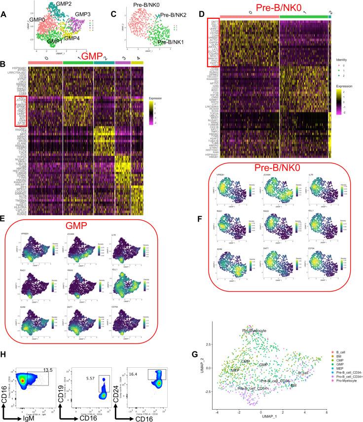 https://cdn.ncbi.nlm.nih.gov/pmc/blobs/cad2/11323571/8bbdf073cd35/mbio.01599-24.f006.jpg