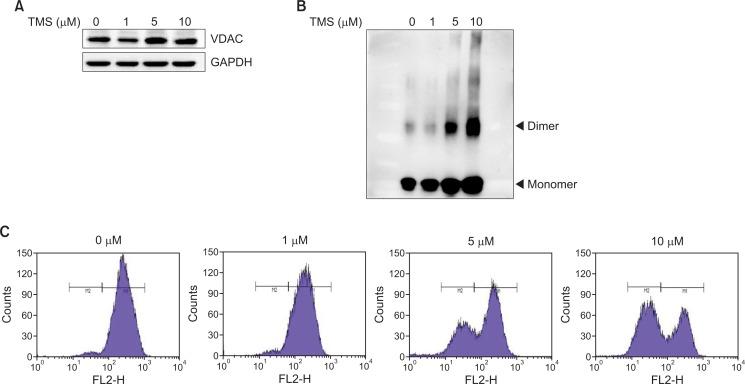 https://cdn.ncbi.nlm.nih.gov/pmc/blobs/cad2/4256031/c5e3f8037abd/bt-22-519f3.jpg