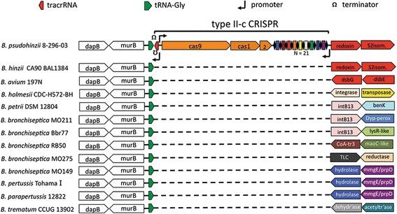 https://cdn.ncbi.nlm.nih.gov/pmc/blobs/cad4/4624362/be48e3af544c/12864_2015_2028_Fig3_HTML.jpg