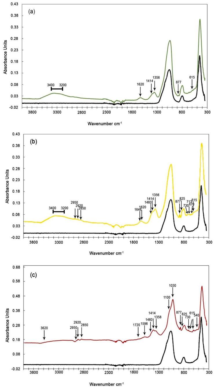 https://cdn.ncbi.nlm.nih.gov/pmc/blobs/cad8/6679192/5d1830d027d5/ijerph-16-02507-g003.jpg