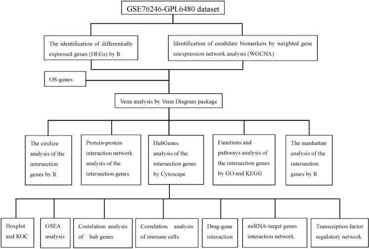 https://cdn.ncbi.nlm.nih.gov/pmc/blobs/cadb/12197935/cb63d6517a39/fimmu-16-1600713-g001.jpg