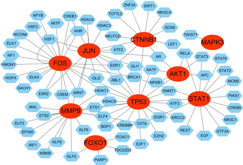 https://cdn.ncbi.nlm.nih.gov/pmc/blobs/cadb/12197935/f356b108e030/fimmu-16-1600713-g014.jpg