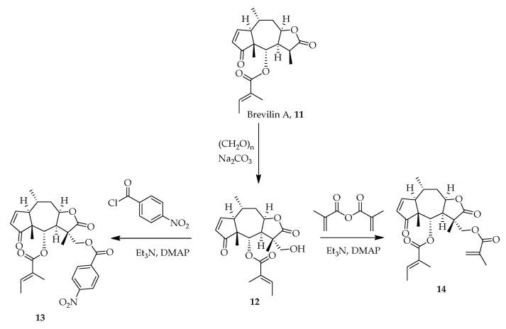 https://cdn.ncbi.nlm.nih.gov/pmc/blobs/cadf/8658833/45d72d86e727/molecules-26-07134-sch001.jpg