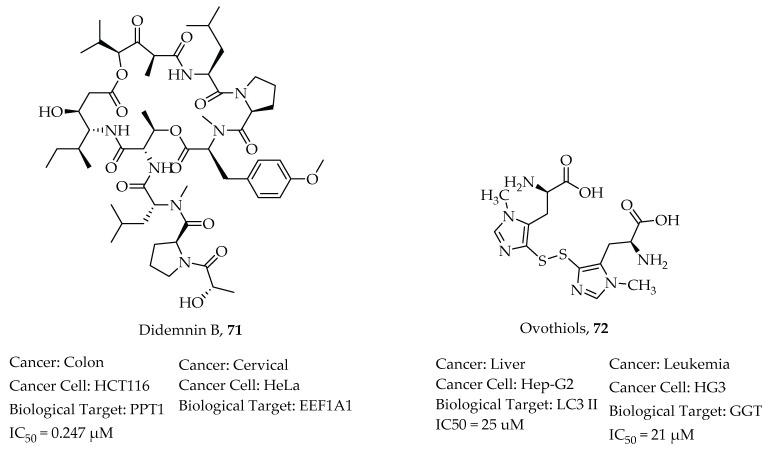 https://cdn.ncbi.nlm.nih.gov/pmc/blobs/cadf/8658833/d74fffbeb2de/molecules-26-07134-g008.jpg
