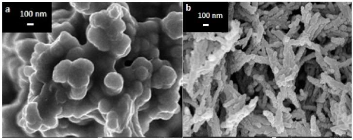 https://cdn.ncbi.nlm.nih.gov/pmc/blobs/cae0/4634436/445412e3eab6/sensors-15-24681-g002.jpg