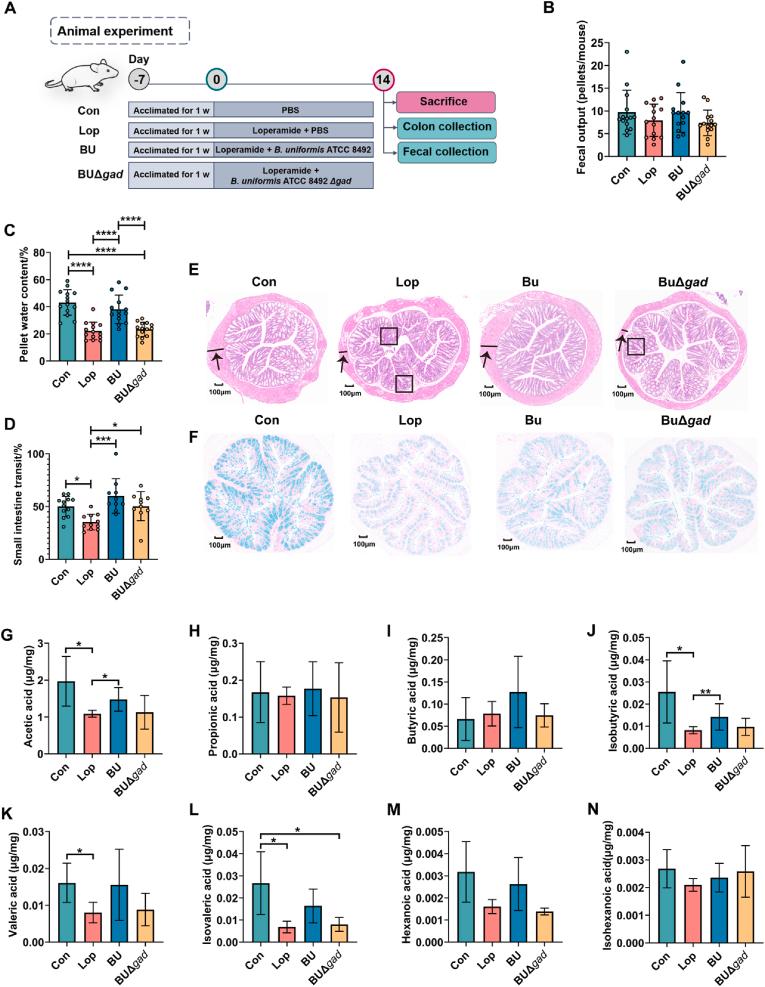 https://cdn.ncbi.nlm.nih.gov/pmc/blobs/cae1/11605182/19792b266610/gr7.jpg