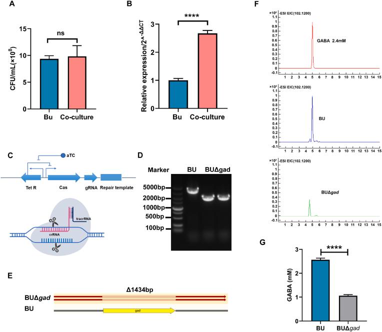 https://cdn.ncbi.nlm.nih.gov/pmc/blobs/cae1/11605182/a663465f0826/gr6.jpg