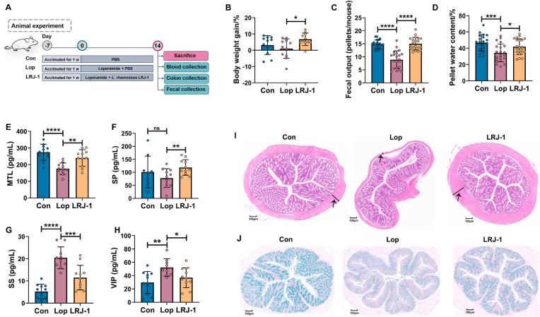 https://cdn.ncbi.nlm.nih.gov/pmc/blobs/cae1/11605182/b954d2596dce/gr1.jpg