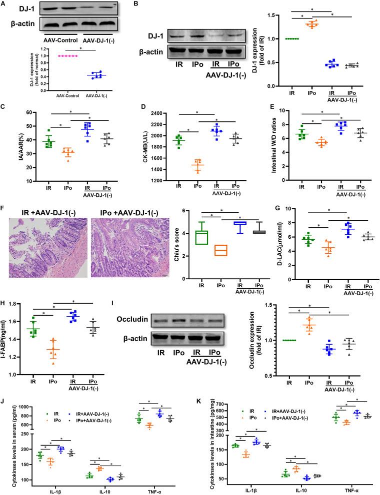 https://cdn.ncbi.nlm.nih.gov/pmc/blobs/cae1/8119885/1c41fb47663b/fmolb-08-655619-g007.jpg