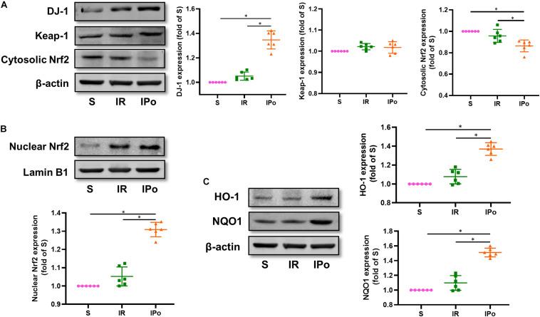 https://cdn.ncbi.nlm.nih.gov/pmc/blobs/cae1/8119885/4b2d701f543c/fmolb-08-655619-g004.jpg
