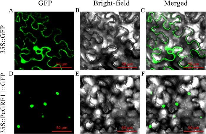 https://cdn.ncbi.nlm.nih.gov/pmc/blobs/cae2/6769349/ac1f298b763d/peerj-07-7510-g012.jpg