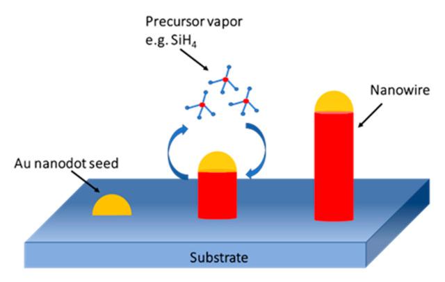 https://cdn.ncbi.nlm.nih.gov/pmc/blobs/cae2/7466708/e604e5c25f62/nanomaterials-10-01555-g023.jpg