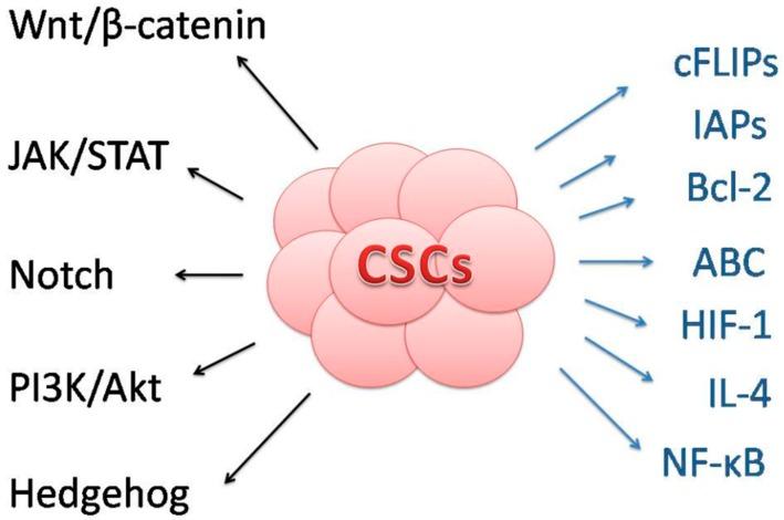 https://cdn.ncbi.nlm.nih.gov/pmc/blobs/cae3/6429493/04fd0823d79f/molecules-24-00899-g002.jpg