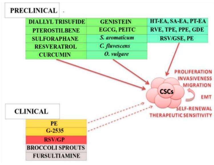 https://cdn.ncbi.nlm.nih.gov/pmc/blobs/cae3/6429493/12e7c32c7afb/molecules-24-00899-g003.jpg