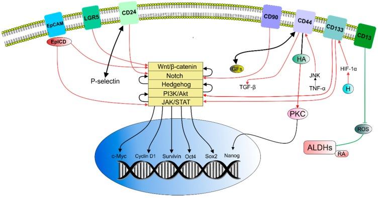 https://cdn.ncbi.nlm.nih.gov/pmc/blobs/cae3/6429493/8653d524e868/molecules-24-00899-g001.jpg