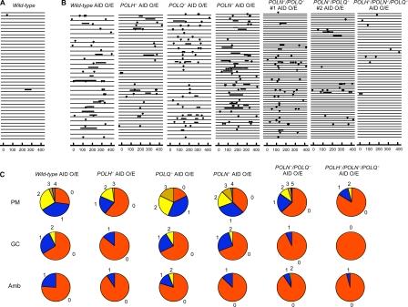 https://cdn.ncbi.nlm.nih.gov/pmc/blobs/cae4/2894443/46d0f6fddae6/JCB_200912012R_RGB_Fig2.jpg