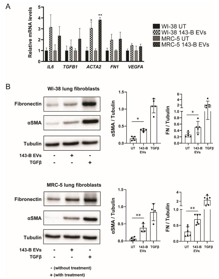 https://cdn.ncbi.nlm.nih.gov/pmc/blobs/cae8/7432951/c585d542c56a/ijms-21-05451-g003.jpg