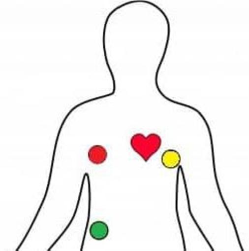 https://cdn.ncbi.nlm.nih.gov/pmc/blobs/caec/9619001/c5fdf6737338/gr038.jpg