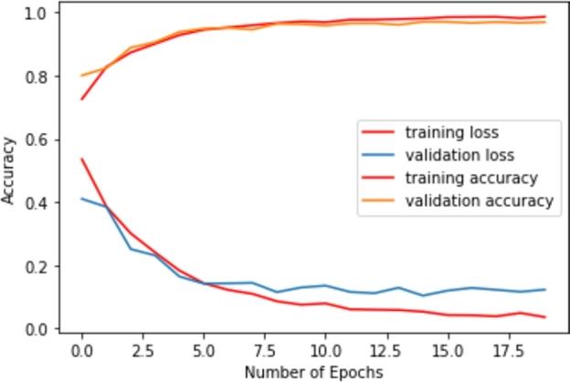 https://cdn.ncbi.nlm.nih.gov/pmc/blobs/caec/9619001/f2be2186c5e6/gr022.jpg