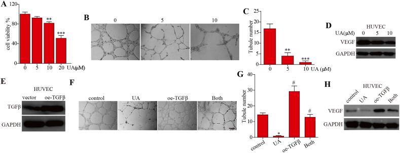 https://cdn.ncbi.nlm.nih.gov/pmc/blobs/caed/10945258/35a21002c1e3/gr3.jpg