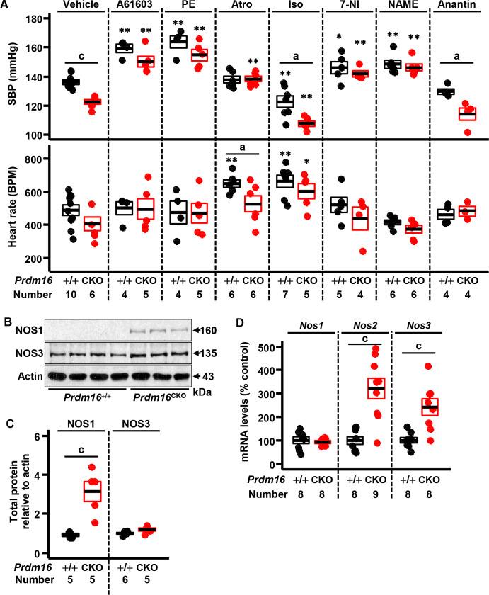 https://cdn.ncbi.nlm.nih.gov/pmc/blobs/caed/9302805/6472bf877187/pone.0267938.g006.jpg