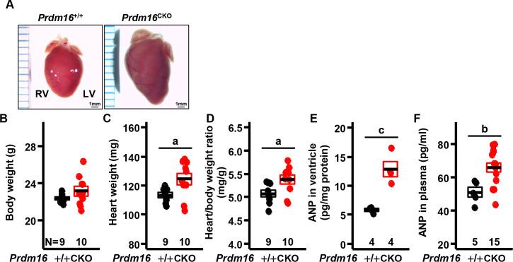 https://cdn.ncbi.nlm.nih.gov/pmc/blobs/caed/9302805/af75a687aca7/pone.0267938.g002.jpg