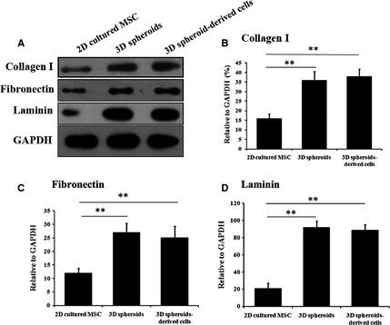 https://cdn.ncbi.nlm.nih.gov/pmc/blobs/caee/4929304/2c9e92176689/JCMM-20-1203-g002.jpg