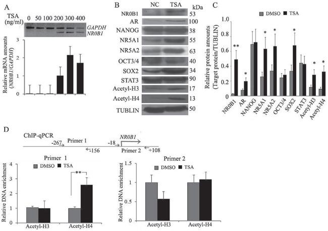 https://cdn.ncbi.nlm.nih.gov/pmc/blobs/caee/5190015/93e6be73c0ea/oncotarget-07-43162-g005.jpg