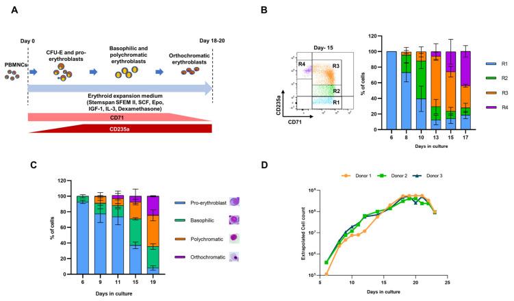 https://cdn.ncbi.nlm.nih.gov/pmc/blobs/caf0/7999632/5919930e216b/cells-10-00523-g001.jpg