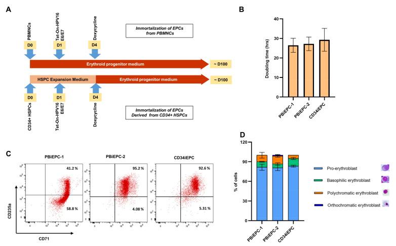 https://cdn.ncbi.nlm.nih.gov/pmc/blobs/caf0/7999632/e7413af00f65/cells-10-00523-g002.jpg