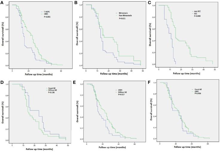 https://cdn.ncbi.nlm.nih.gov/pmc/blobs/caf5/7882702/1ed0ff406736/fonc-10-571308-g004.jpg