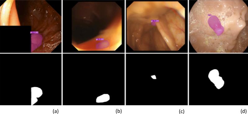 https://cdn.ncbi.nlm.nih.gov/pmc/blobs/caf6/12135501/f300d298779e/12911_2025_3047_Fig6_HTML.jpg