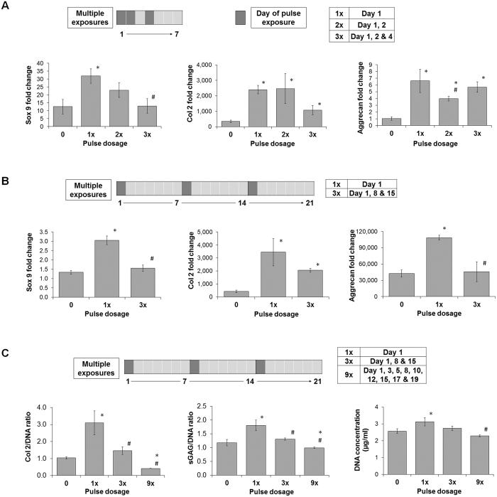 https://cdn.ncbi.nlm.nih.gov/pmc/blobs/caf6/5572790/3c1ca829a841/41598_2017_9892_Fig2_HTML.jpg