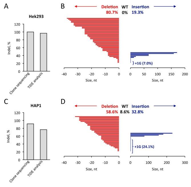 https://cdn.ncbi.nlm.nih.gov/pmc/blobs/caf8/6627462/bbcd569e94f8/cells-08-00574-g005.jpg